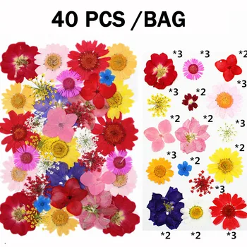 40 Kom. Šareni Press Sušeno Cvijeće UV Smola Prirodni Cvijet Smola je Materijal za DIY Epoksidna Smola Punjenje Nakit Nakit